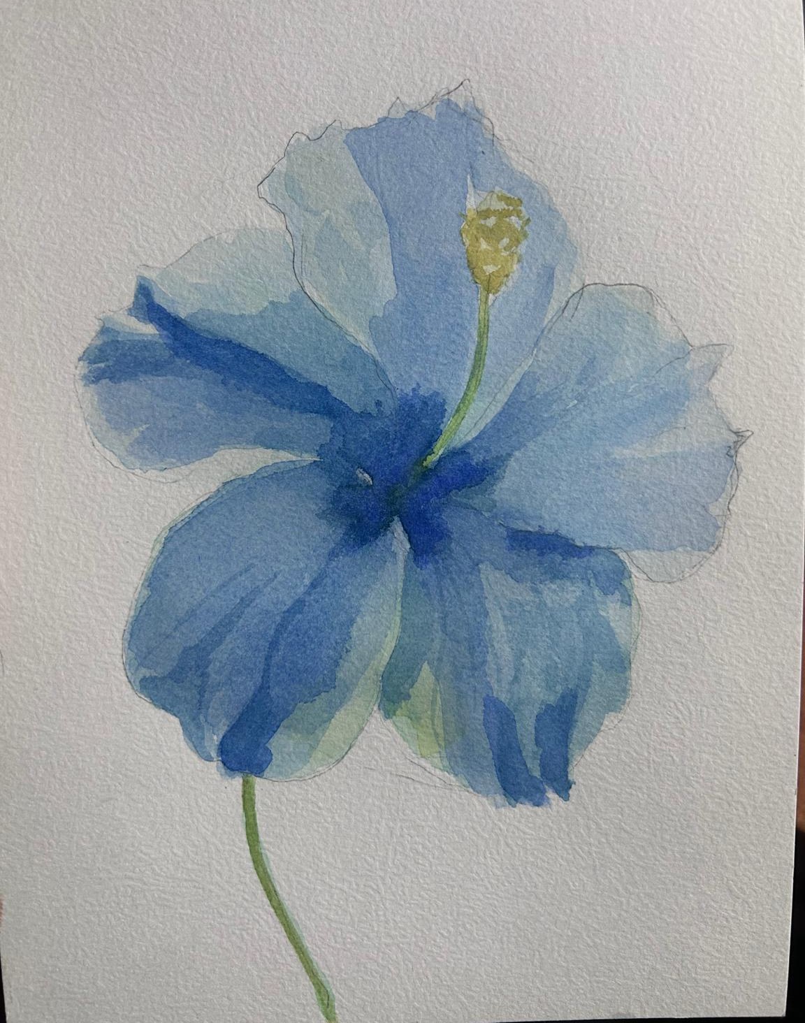 Blue Bloom